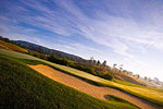 Belterra Golf Course